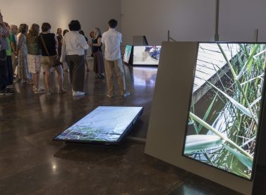 Image of Els artistes Bleda y Rosa i Teresa Marín oferixen una visita especial a la mostra ‘L’Albufera’ en l’IVAM