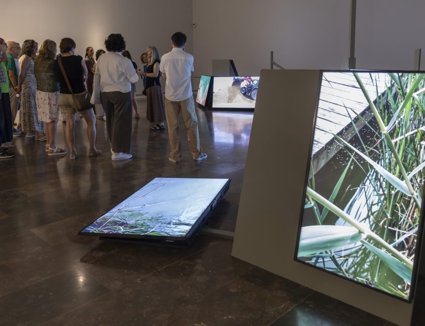 Image of Els artistes Bleda y Rosa i Teresa Marín oferixen una visita especial a la mostra ‘L’Albufera’ en l’IVAM