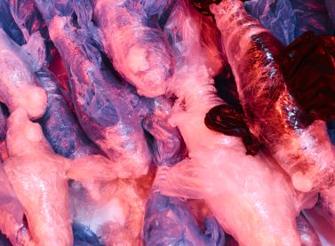 Zlatan Hadžifejzović, Works from work, 2019