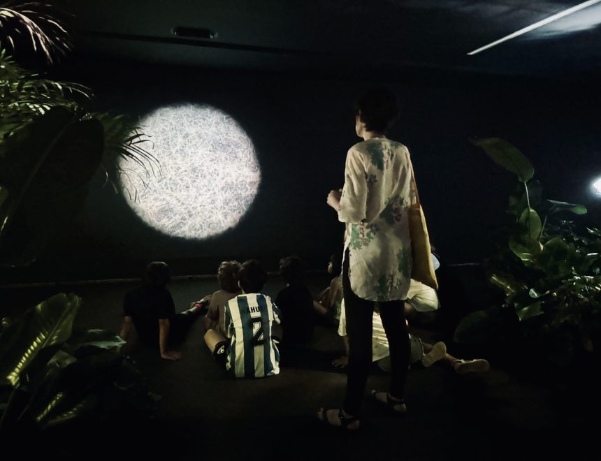 Un eclipsi de butxaca. Taller familiar per a celebrar l’eclipsi del segle
