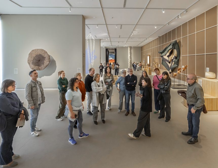 Visites comentades a les exposicions