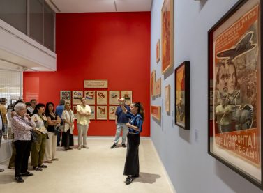Image of Visites comentades a les exposicions