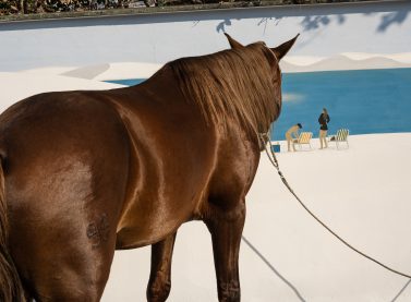 Cristina De Middel, BLANCO, de la serie Apoteosis Now, 2026. Cristina De Middel_ Magnum Photos