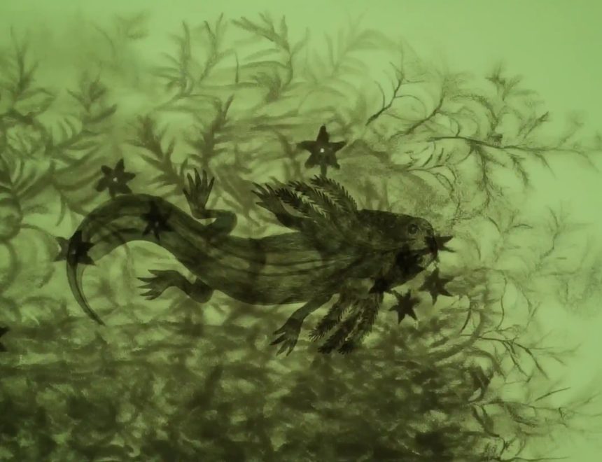 Fotograma de Axolotl, Melanie Smith, 2025, Video HD, 18’44’’