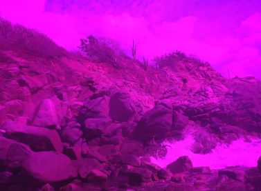 Fotograma de Tixinda, Melanie Smith y Patricio Villarreal, 2025, Video Full HD, 13’35”