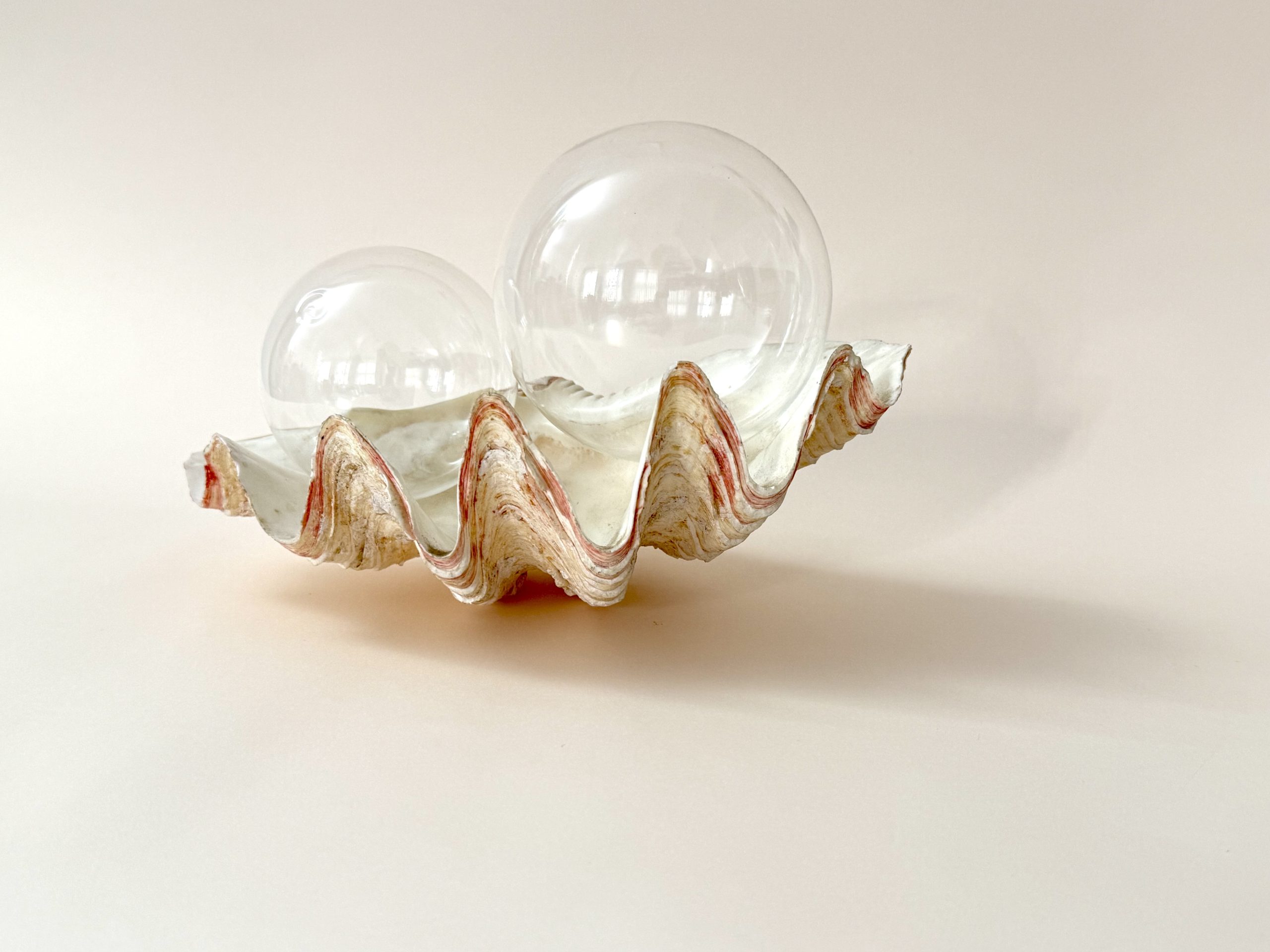 Territoris en trànsit / Solo duo: Anna Talens & Mar Guerrero