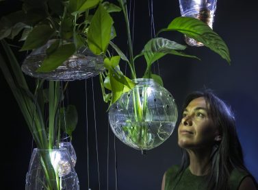 El IVAM despide ‘Radix’, la instalación inmersiva de Tania Candiani que explora el mundo subterráneo