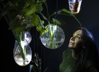 Image of L’IVAM presenta una performance sonora dirigida per Tania Candiani al voltant de la instal·lació immersiva ‘Radix’