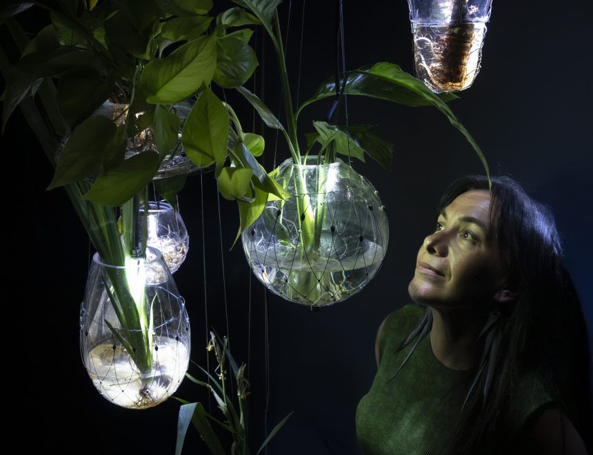 Image of L’IVAM presenta una performance sonora dirigida per Tania Candiani al voltant de la instal·lació immersiva ‘Radix’