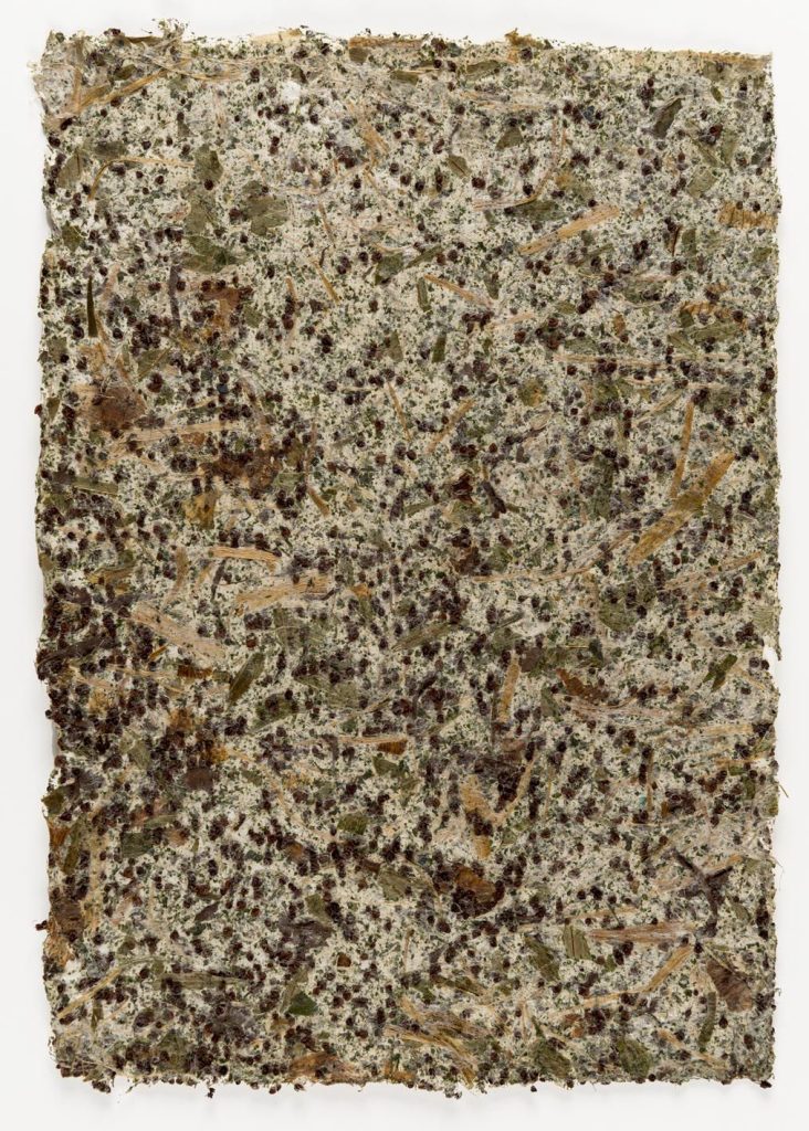 John Cage. Wild Edible Drawings, 1990